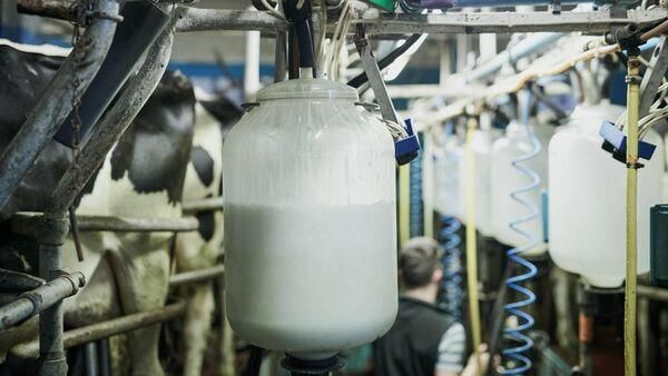 Lakeland increases milk price for December