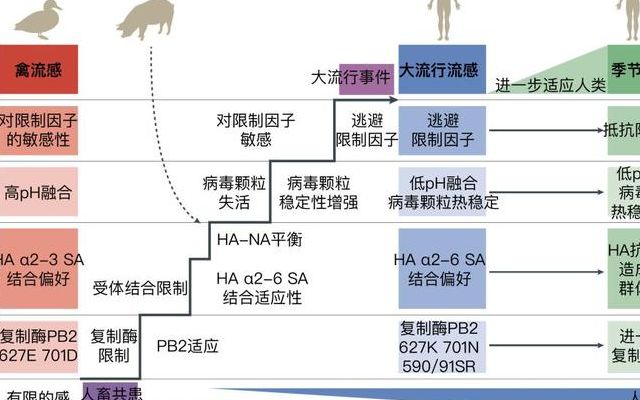 大流行与季节性流感严重程度指南已进行更新